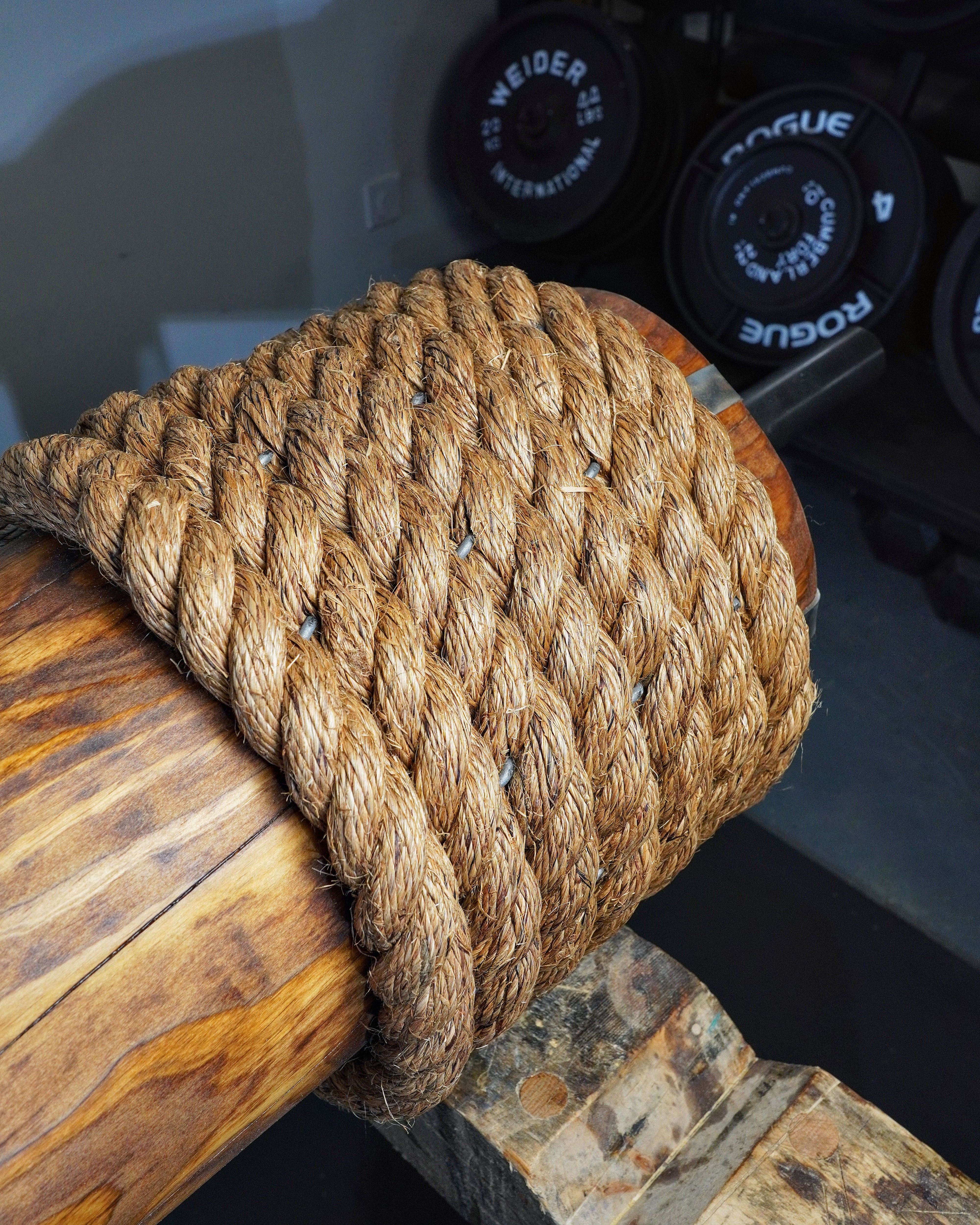 12" x 8' Slater Pro Log